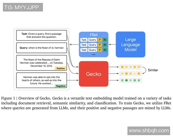预测：维尼修斯胜率几何？数据模型告诉你答案